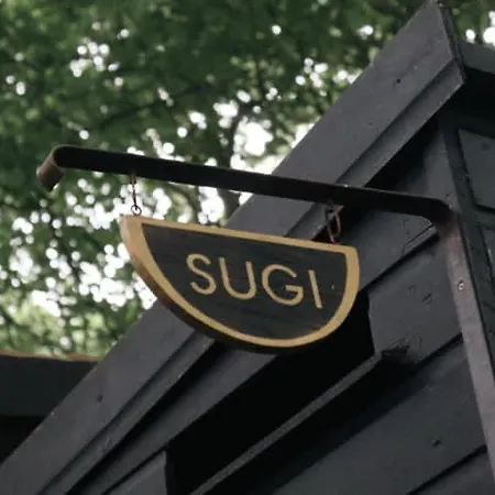 Sugi Wooden Pod 约克