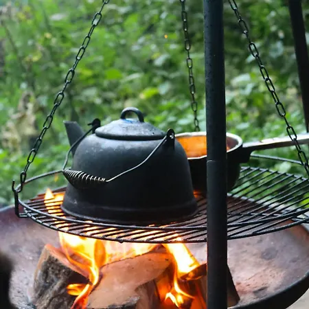 Sugi Wooden Pod * York