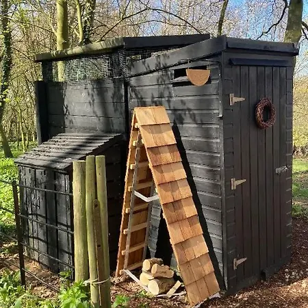 Sugi Wooden Pod *