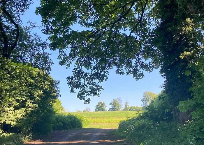 Sugi Wooden Pod 木屋
