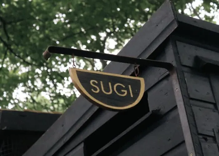 Sugi Wooden Pod 约克