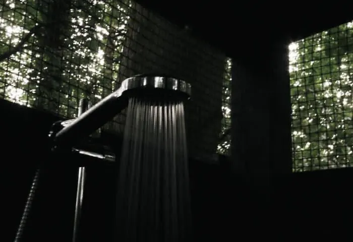 Sugi Wooden Pod 木屋