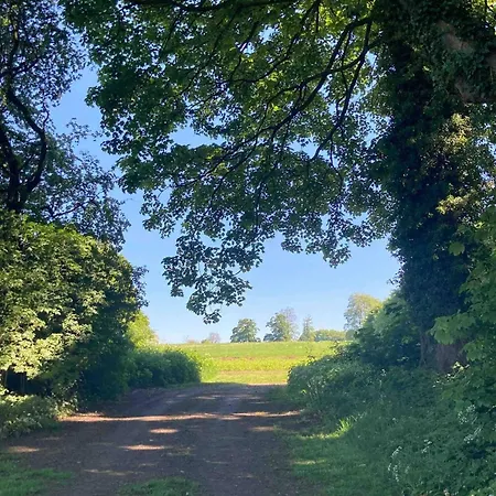 Sugi Wooden Pod 木屋